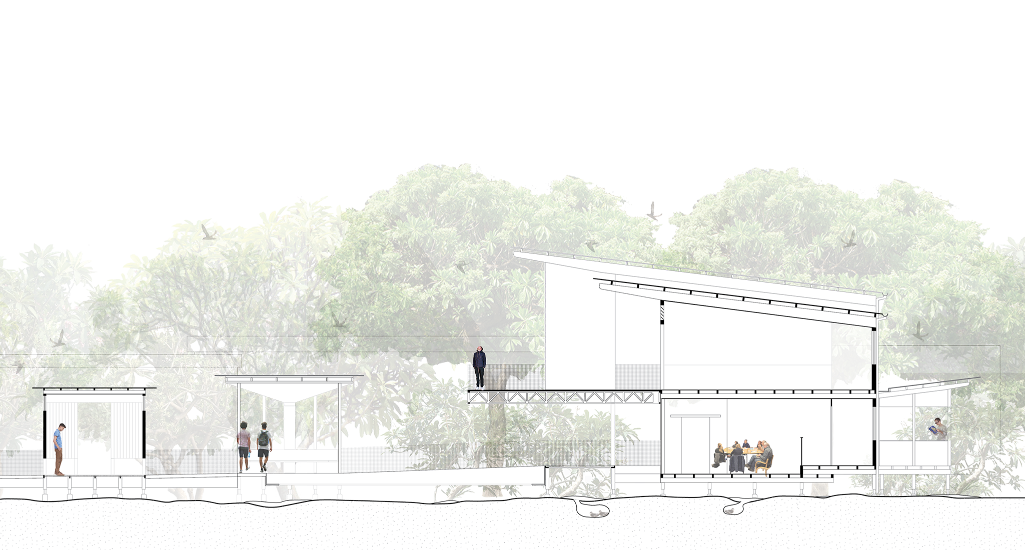 Pisonia Pavilion_Section